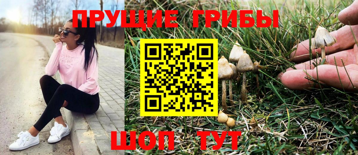 Реж  Галлюциногенные грибы прущие грибы  Вход с VPN 
